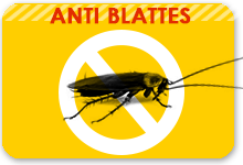 anti blattes
